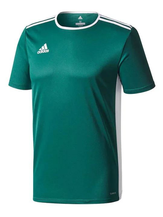 Adidas Entrada 18 JSY CD8358 Green