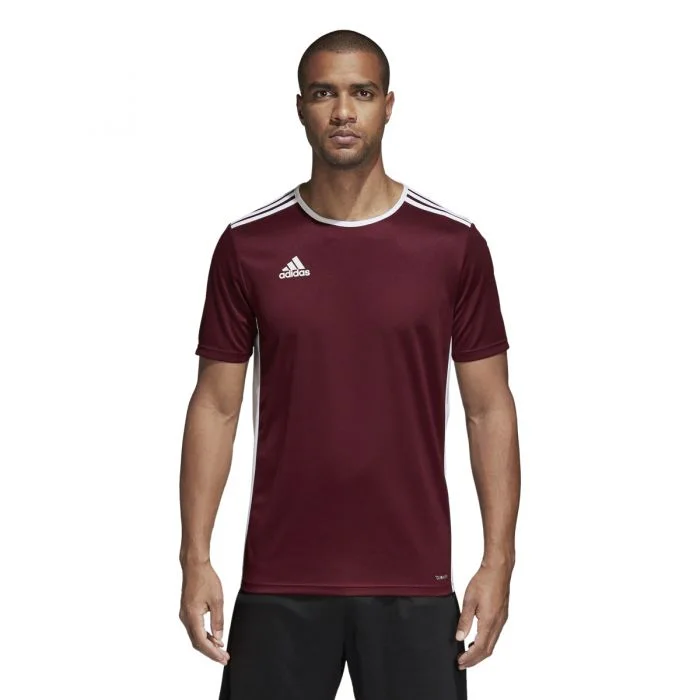 Adidas Entrada 18 JSY CD8430 Maroon/White