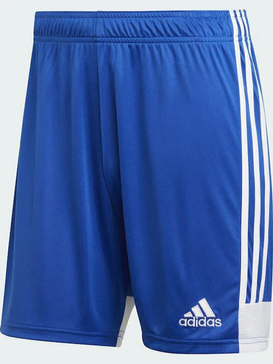 Adidas Tastigo 19 SHO DP3682 Royal Blue/White