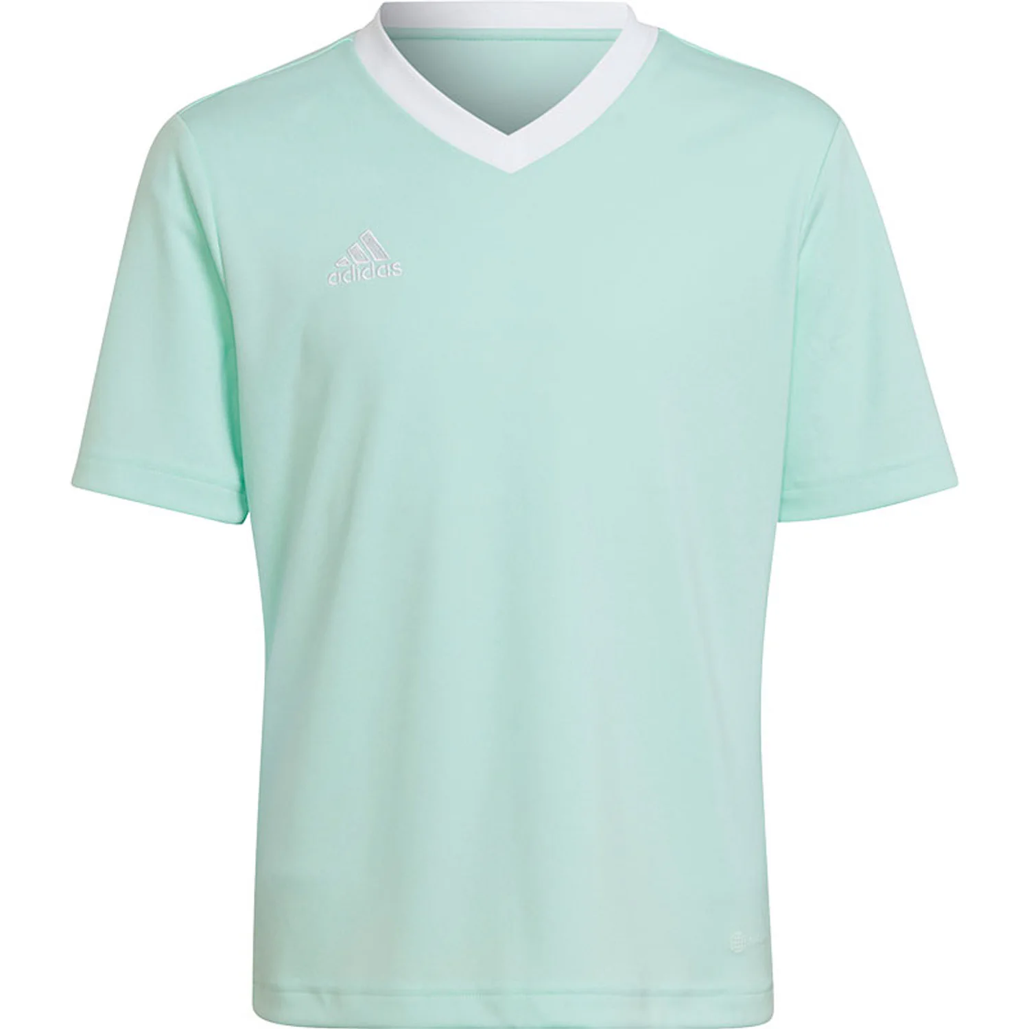 Adidas Entrada 22 JSY Y HC5078 Ciel