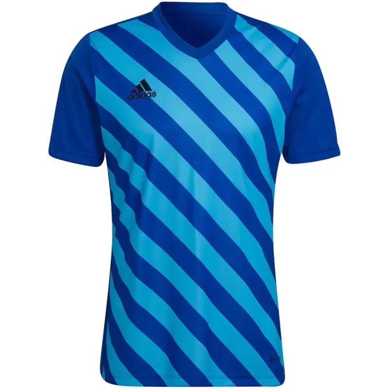 Adidas Entrada 22 GFX JSY HF0116 Blue