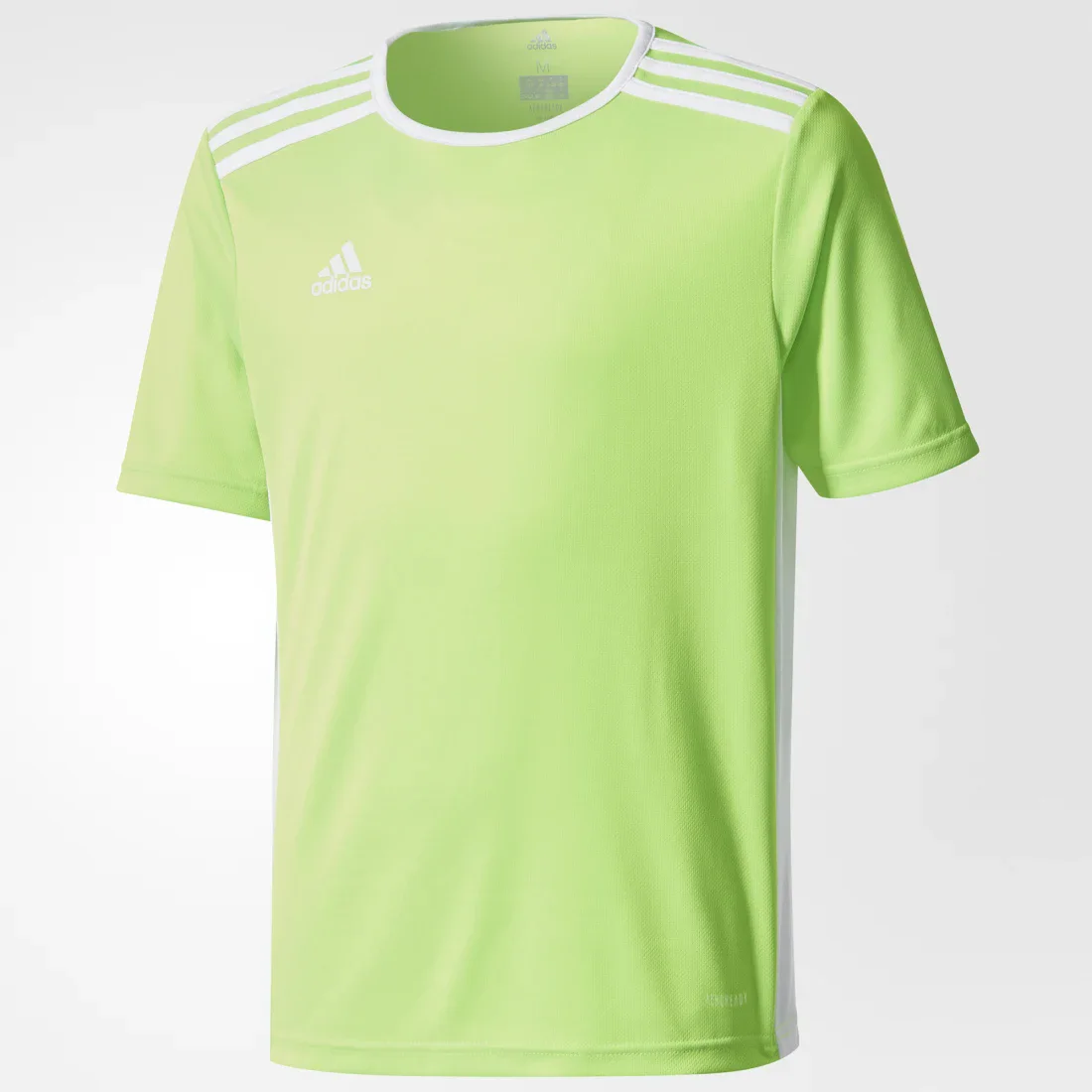 Adidas Entrada 18 JSY Y CE9755 Green